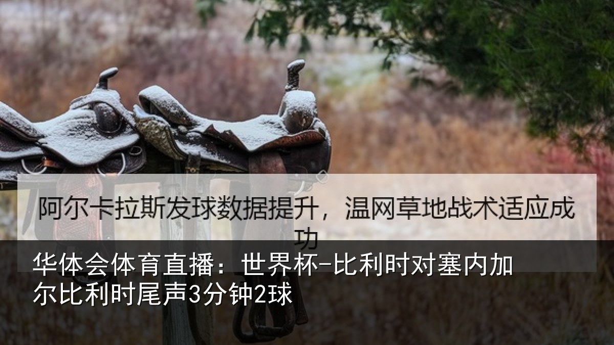 华体会体育直播：世界杯-比利时对塞内加尔比利时尾声3分钟2球