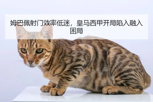 mu-ba-pei-she-men-xiao-lv-di-mi-huang-ma-xi-jia-kai-ju-xian-ru-rong-ru-kun-ju-3-264.jpg